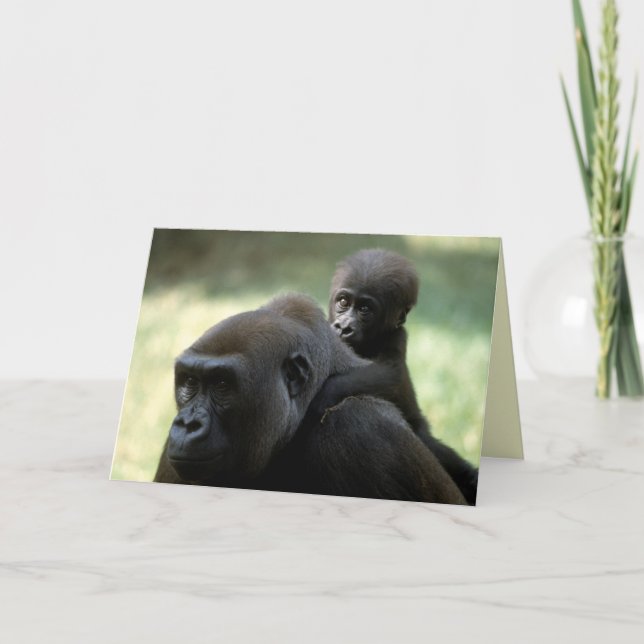 Cartão Selvagens - Primatas 11 (Frente)