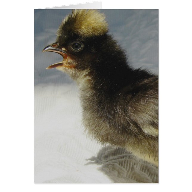 Cartão Sem Fotografias (Frente)