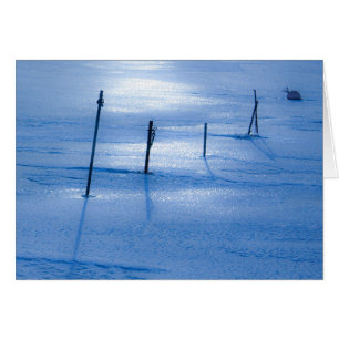 Cartão Sem gelo azul