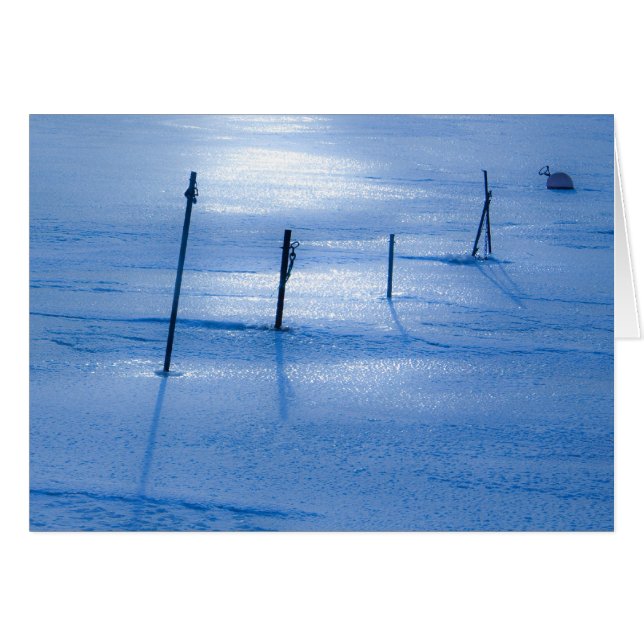 Cartão Sem gelo azul (Frente horizontal)