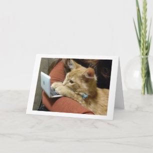 CARTÃO SEM RONRONAR, DESEJANDO UM FELIZ NATAL