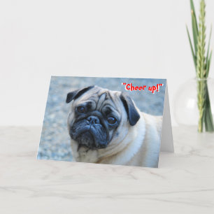 Cartão Sem rugas Pug Birthday Card