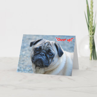 Cartão Sem rugas Pug Birthday Card