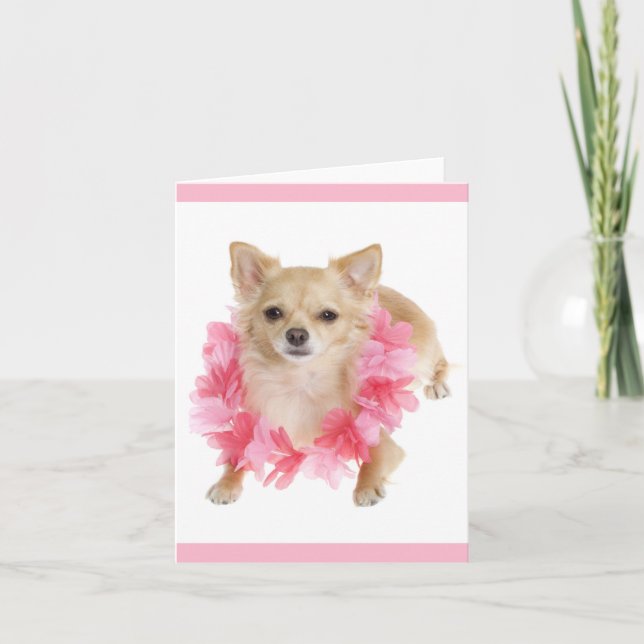 Cartão sem texto com cachorrinho Chihuahua (Frente)