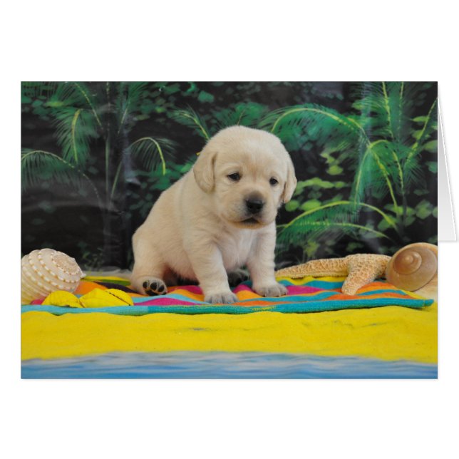 Cartão Semana 2 de Leigh Ann (Frente Horizontal)