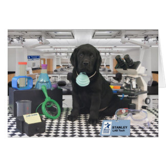 Cartão Semana 8 de Stanley