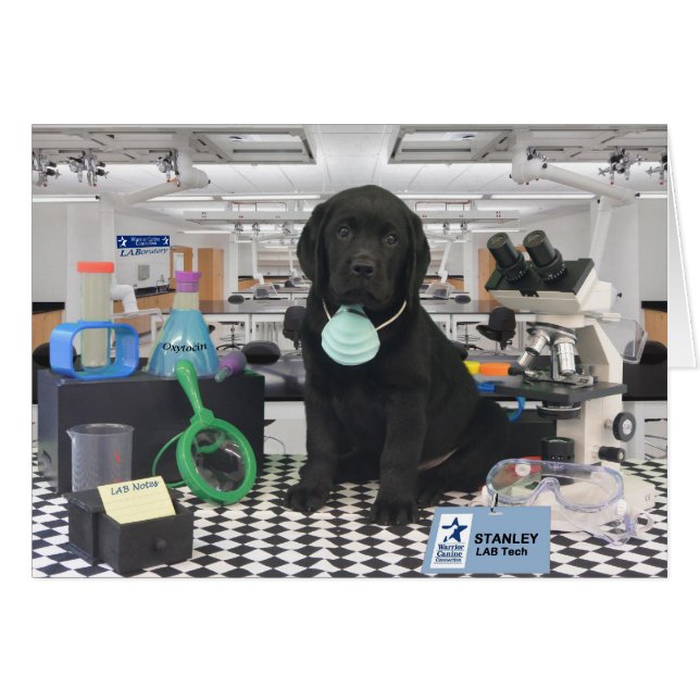 Cartão Semana 8 de Stanley (Frente Horizontal)