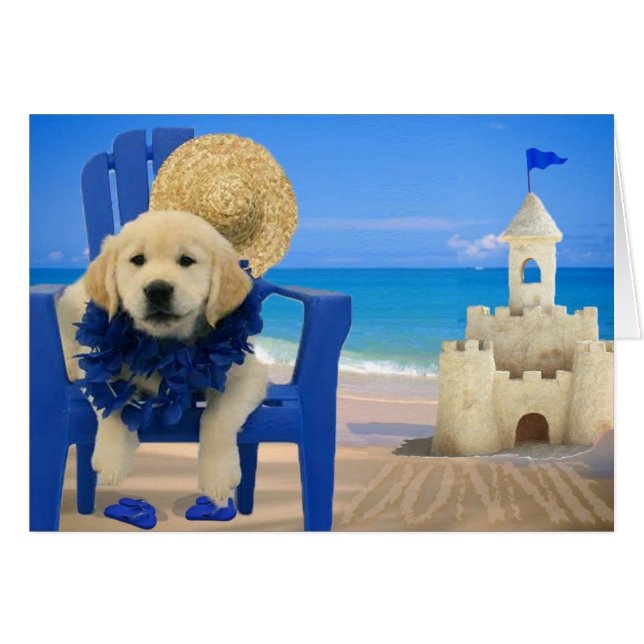 Cartão Semana 8 - Praia Donnie (Frente Horizontal)