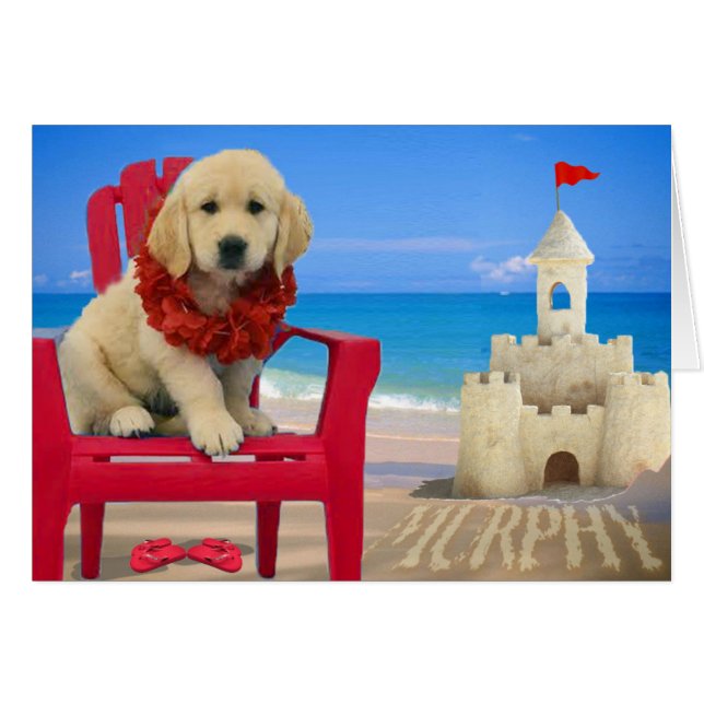 Cartão Semana 8 - Praia Murphy (Frente Horizontal)