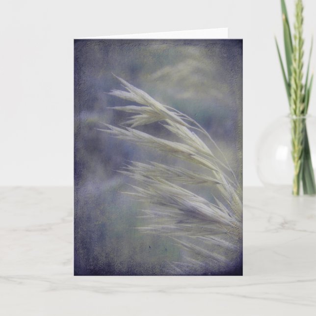 Cartão Sementes De Grama Todas As Ocasiões (Frente)