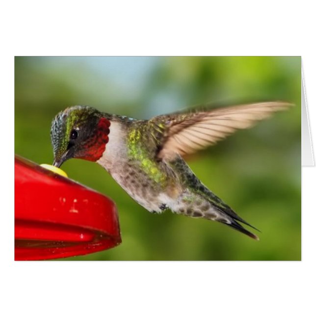 Cartão sempre (Frente horizontal)