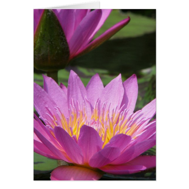 Cartão sempre (Frente)