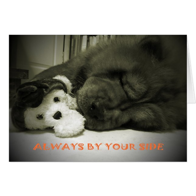 Cartão Sempre ao seu lado (Frente Horizontal)