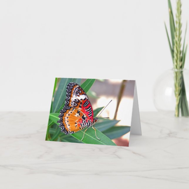 Cartão Sempre terei esperança... (Frente)