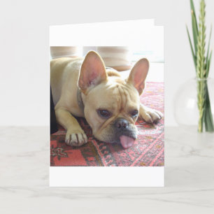 CARTÃO SENHOR! PLACA FRANCESA DE BULLDOG