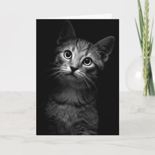 CARTÃO SENHORA, AMOR-TE-MEOW (Frente)