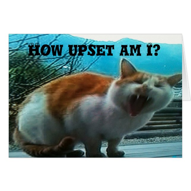 CARTÃO **SENHORA SENHORA** TANTO EM **NATAL** (Frente Horizontal)