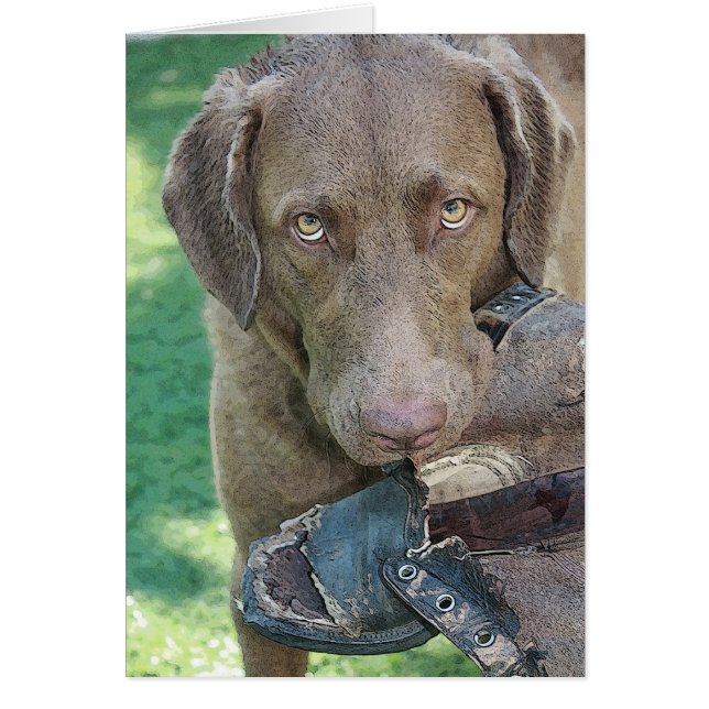 Cartão Senhorita CALÇADO! (Frente)