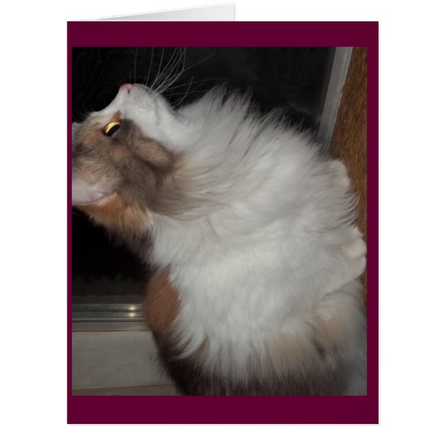 Cartão Senhorita pequena (Frente)