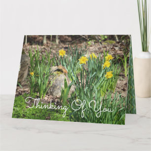 Cartão Senhorita Você Pensando Em Você