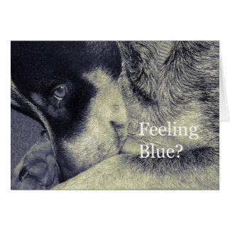 Cartão Sensação de azul