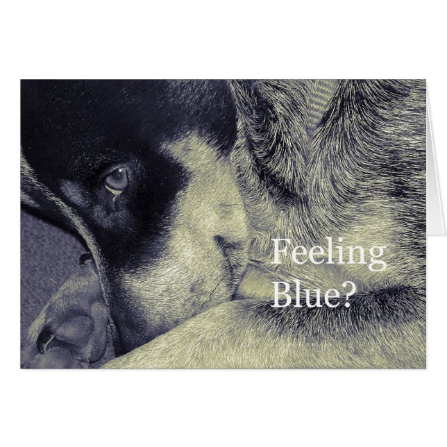 Cartão Sensação de azul (Frente Horizontal)