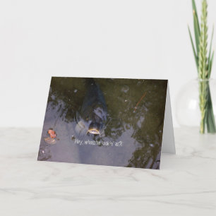 Cartão Sensação de peixes