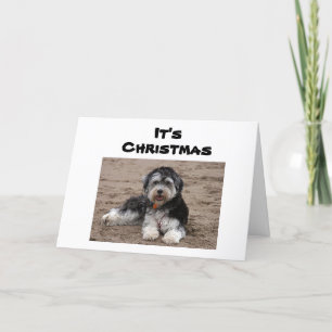 CARTÃO SENTADA AQUI PENSANDO EM VOCÊ NO NATAL