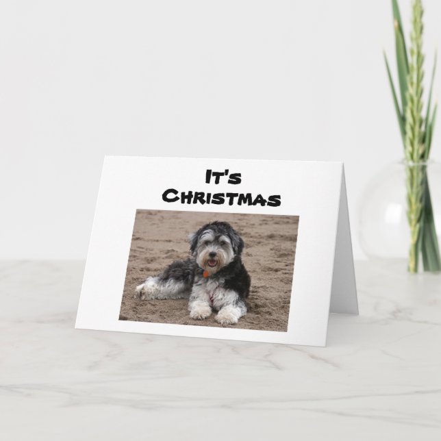 CARTÃO SENTADA AQUI PENSANDO EM VOCÊ NO NATAL (Frente)