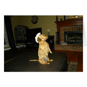 Cartão Sentado Bonito ou assistindo TV Dachshund