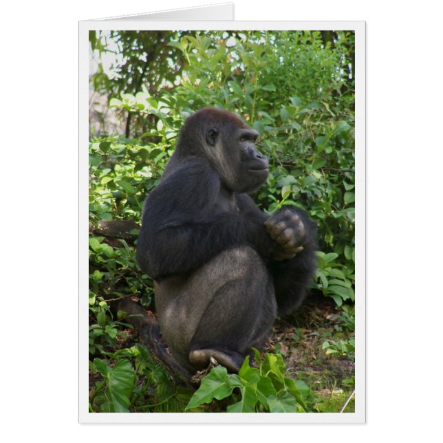 Cartão Sentado, talvez pensando, mas provavelmente, só se (Frente)