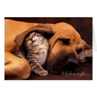 Cartão Sente assim o direito ser com você