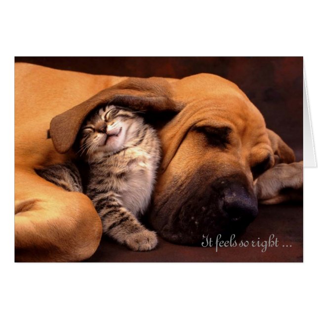 Cartão Sente assim o direito ser com você (Frente Horizontal)