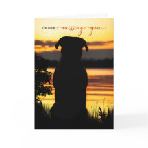 Sente falta de sua silhueta de cachorro por um lag