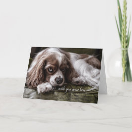 Cartão Sente Falta De Você, Cachorro De Cachorro Espanhol