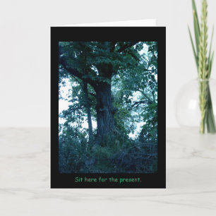 Cartão Sente-se aqui, placa de árvore