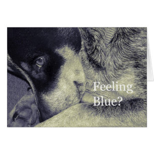 Cartão Sentimento azul