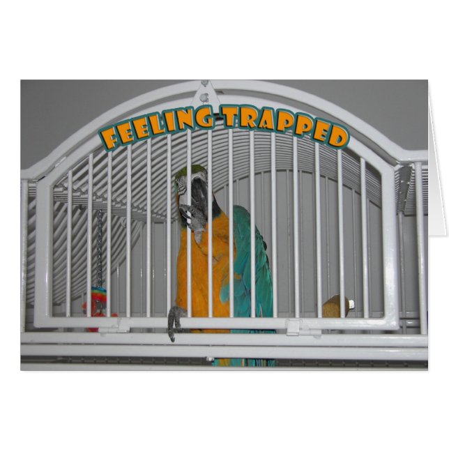 Cartão Sentimento prendido (Frente Horizontal)