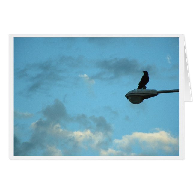 Cartão Sentinel (Frente Horizontal)