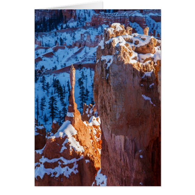 Cartão Sentinela do inverno (Frente)