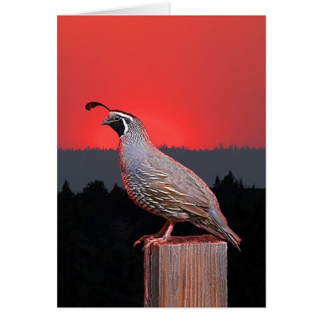 CARTÃO SENTINELA NO POR DO SOL (Frente)