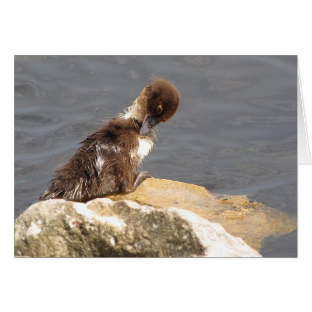 Cartão Sentir-Se Ducky - Ducker Ficar Bem (Frente Horizontal)