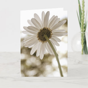 Cartão sepia daisy Hello card