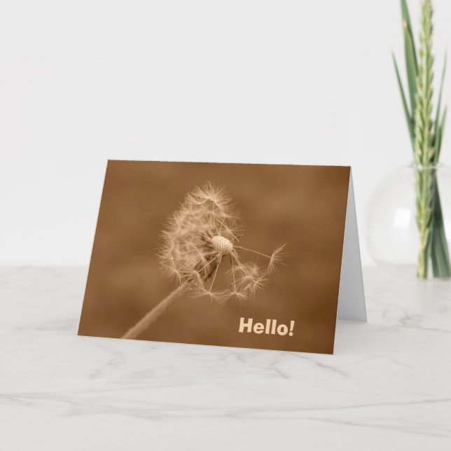 Cartão Sepia Dandelion Hello! Card (Blank Inside) (Frente)