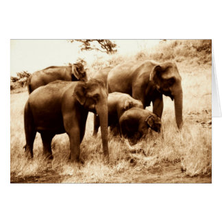 Cartão Sepia dos elefantes indianos