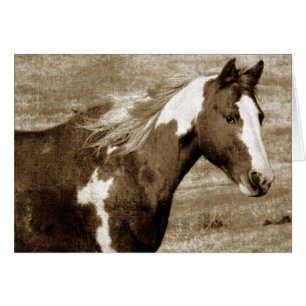 Cartão Sepia Flashy Mare
