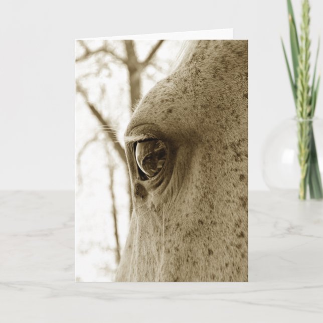 Cartão Sépia Foto de Olho de Cavalo de Cinza Vestido (Frente)