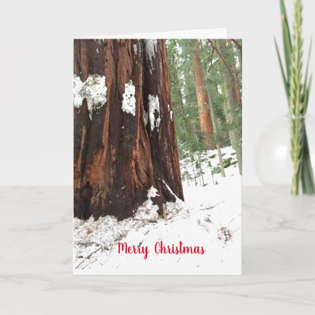 Cartão Sequoia Merry Christmas Greetings (Frente)