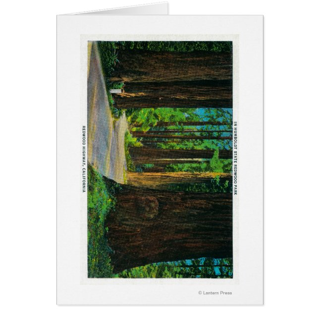 Cartão Sequoia Redwood no Parque Estadual de Humboldt de  (Frente)