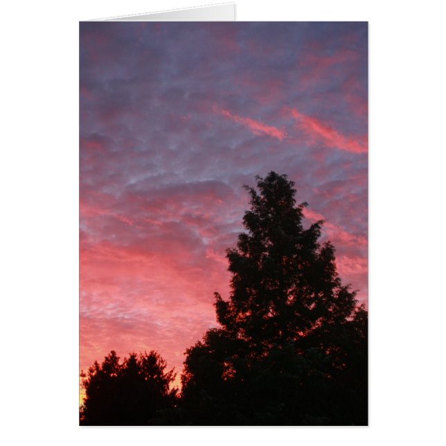 Cartão Sequoia Sunrise (Frente)
